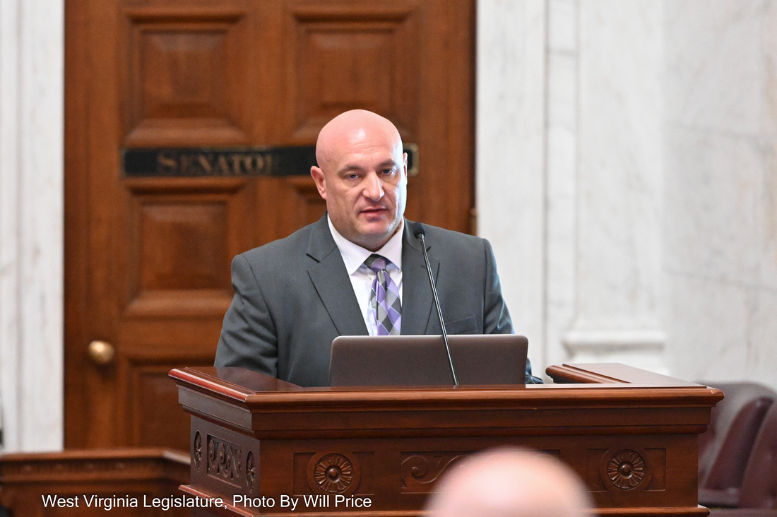 Circuit Judge More Work Needed on West Virginia Child Welfare System News, Sports, Jobs The